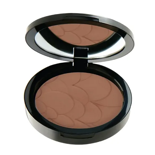 Пудра для лица PROFASHION ADVANCED POWDER